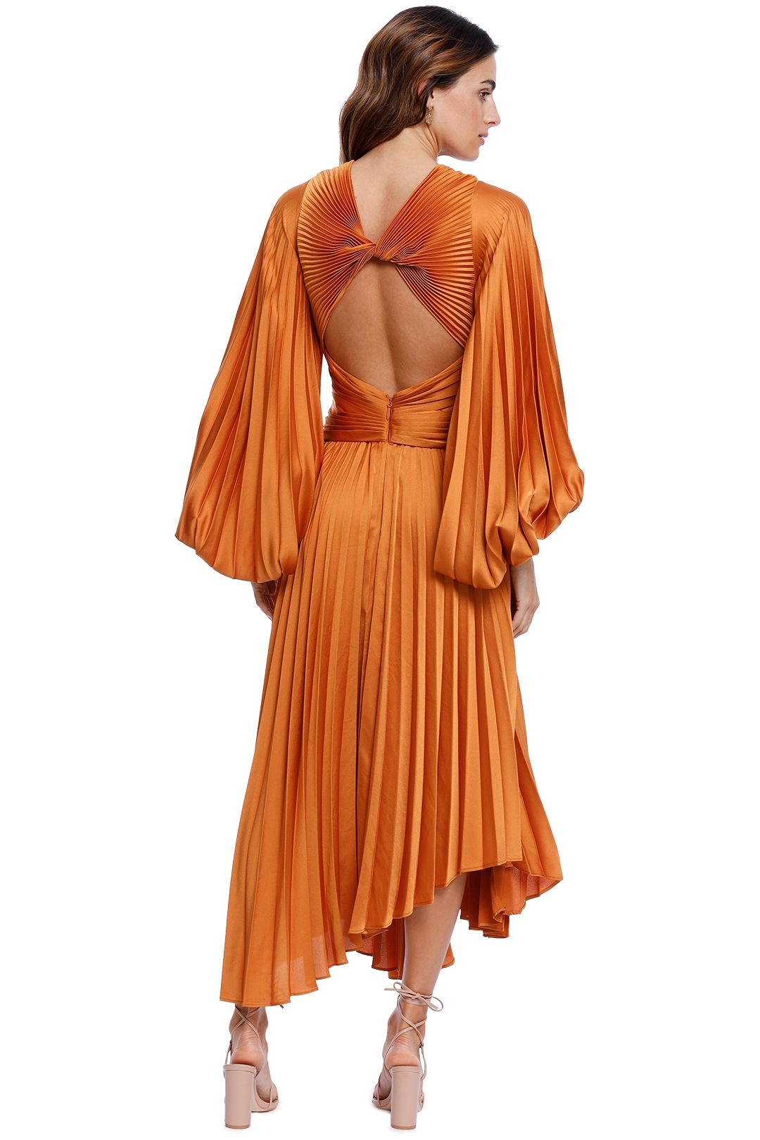 Hire Palms Dress in Turmeric | Acler ...